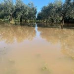 Alluvione a Castelvetrano (Sicilia)