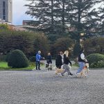 due gruppi di persone ed i loro cani passeggiano per il parco. I cani si sporgono gli uni verso gli altri col desiderio di fare amicizia.
