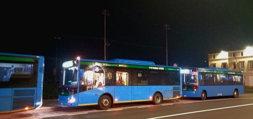 Vengono rappresentati tre pullman di Autolinee Varesine
