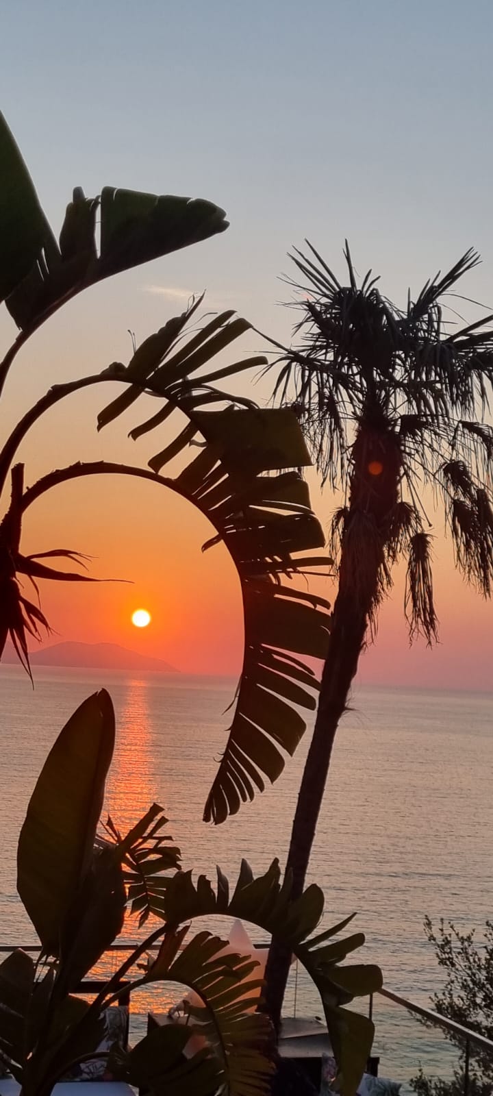 Foto alba